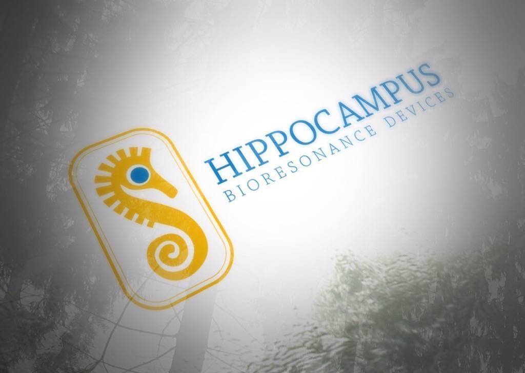 hippocampus_05