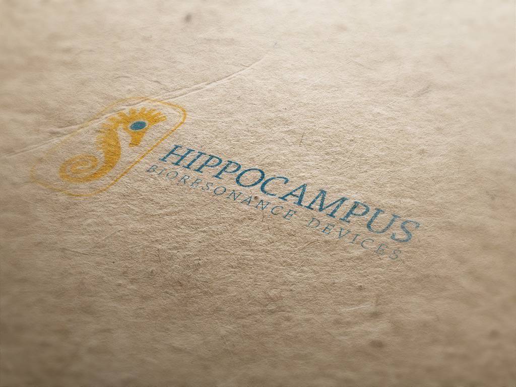 hippocampus_13